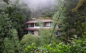 Spring And Valley View