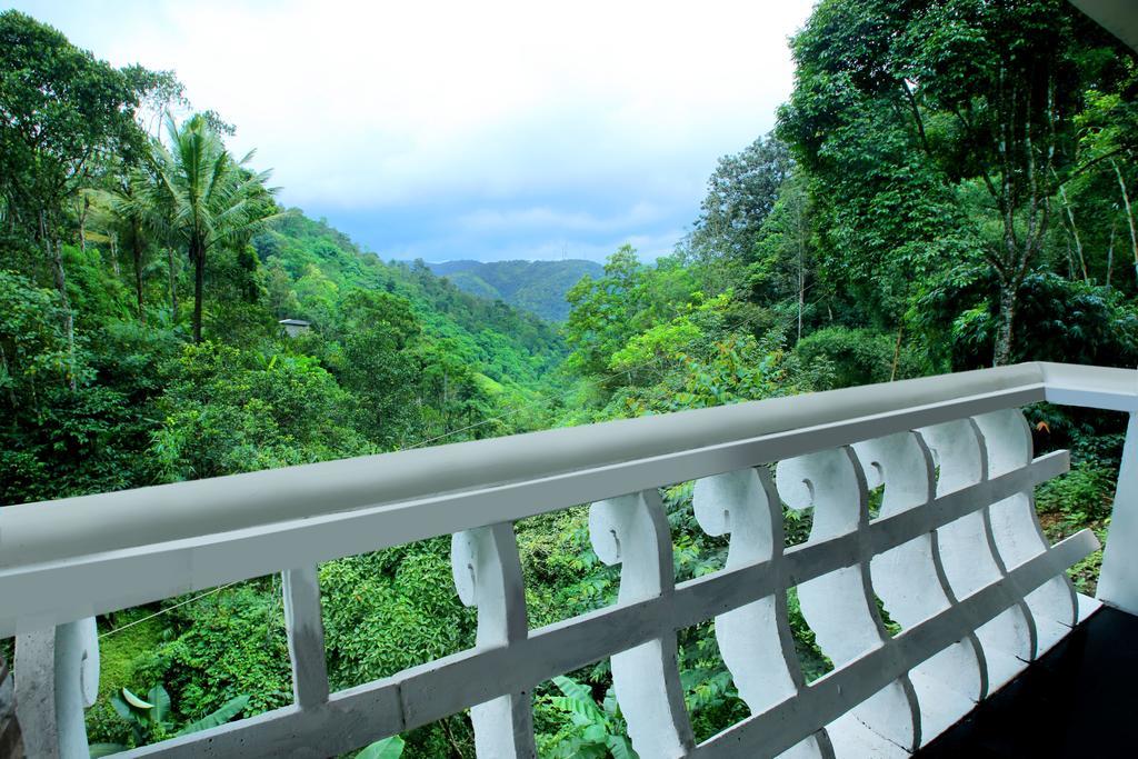 Spring And Valley View Thekkady Room photo