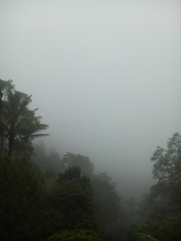 Spring And Valley View Thekkady Exterior photo